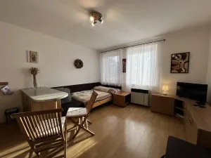 Pronájem bytu 1+kk, Třeboň - Třeboň II, U Francouzů, 28 m2