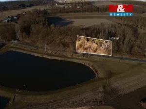 Prodej louky, Bošín, 799 m2