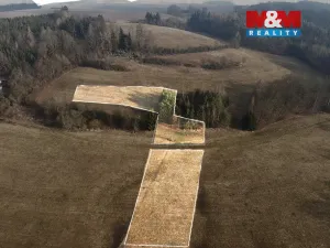 Prodej louky, Záchlumí, 8461 m2