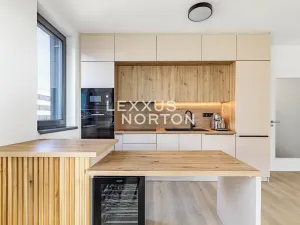 Pronájem bytu 3+kk, Praha - Žižkov, Olgy Havlové, 69 m2