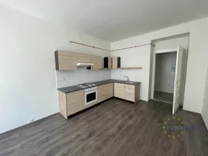 Pronájem bytu 3+kk, Praha - Žižkov, Hájkova, 76 m2