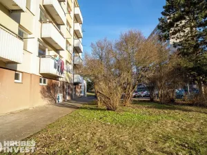 Prodej bytu 3+1, Hradec Králové, Bratří Štefanů, 61 m2