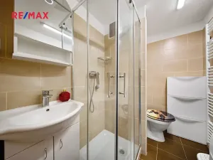 Pronájem bytu 1+1, Brno, Palackého třída, 32 m2