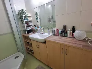 Prodej bytu 2+1, Brno, Potácelova, 51 m2