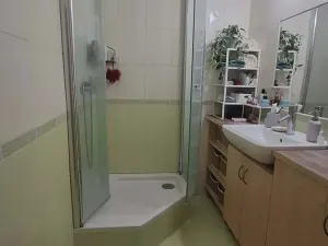 Prodej bytu 2+1, Brno, Potácelova, 51 m2