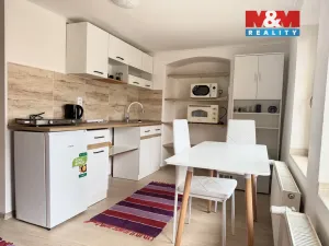 Pronájem bytu 1+1, Beřovice, 47 m2