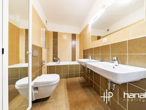 Prodej bytu 3+kk, Olomouc, Aloise Rašína, 82 m2