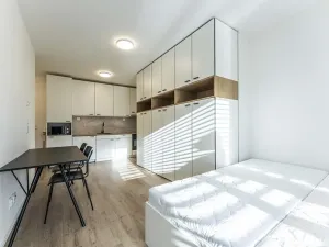 Pronájem bytu 1+kk, Praha - Nusle, Na bitevní pláni, 30 m2