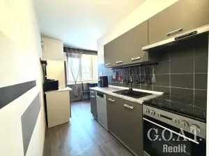 Prodej bytu 1+1, Plzeň, Na Dlouhých, 36 m2