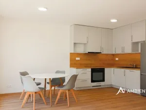 Pronájem bytu 1+kk, Brno, Ondřeje Sekory, 41 m2