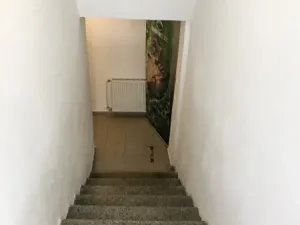 Pronájem obchodního prostoru, Mladá Boleslav, Jaselská, 80 m2