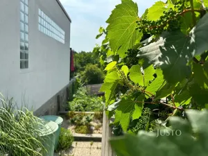 Pronájem pokoje, Brno, Kostelní zmola, 15 m2