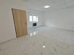 Pronájem bytu 1+kk, Teplice, U Červeného kostela, 42 m2