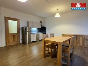 Pronájem bytu 1+kk, Čermná, 42 m2