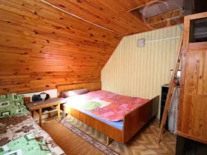 Prodej chaty, Hromnice - Planá, 66 m2