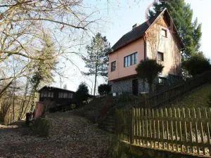 Prodej chaty, Hromnice - Planá, 66 m2