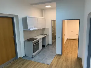 Pronájem bytu 3+kk, Litomyšl, Havlíčkova, 60 m2