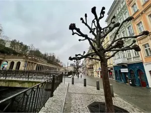 Prodej bytu 2+kk, Karlovy Vary, Vřídelní, 28 m2