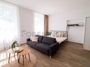 Pronájem bytu 1+kk, Brno, Bašty, 36 m2