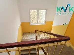 Pronájem bytu 2+1, Nová Role, Svobodova, 54 m2