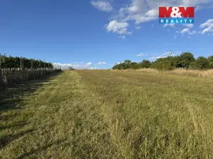 Prodej pozemku pro bydlení, Borkovany, 7835 m2