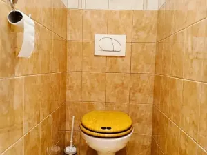 Pronájem bytu 2+kk, Benešov, Pražského povstání, 52 m2