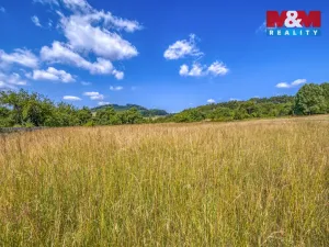 Pronájem pozemku pro bydlení, Kokašice - Čeliv, 2860 m2