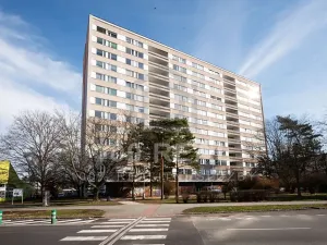 Pronájem bytu 2+kk, Hradec Králové, Veverkova, 53 m2