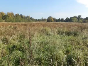 Dražba louky, Církvice, 2352 m2