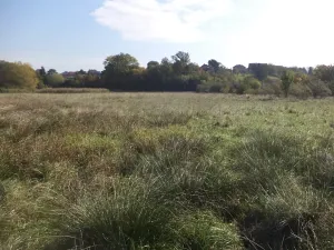 Dražba louky, Církvice, 2352 m2