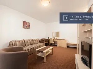 Pronájem bytu 2+1, Brno, Anenská, 49 m2