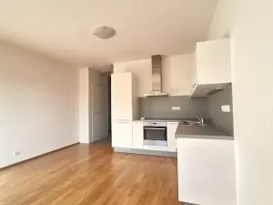 Pronájem bytu 2+kk, Praha - Smíchov, Fráni Šrámka, 43 m2