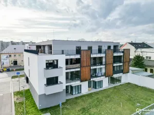 Pronájem bytu 1+kk, Olomouc, Věry Pánkové, 33 m2