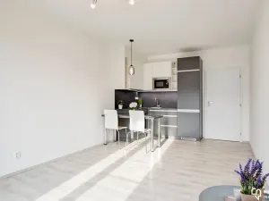 Pronájem bytu 1+kk, Olomouc, Věry Pánkové, 33 m2