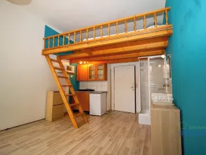 Pronájem bytu 1+kk, Praha - Žižkov, Vlkova, 22 m2