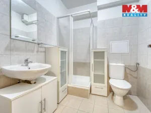 Pronájem bytu 1+kk, Štěnovice, Čižická, 28 m2