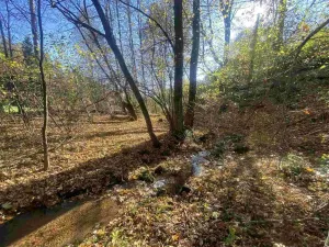 Prodej pozemku, Lučany nad Nisou - Jindřichov, 449 m2