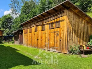 Pronájem bytu 1+1, Plavy, 45 m2