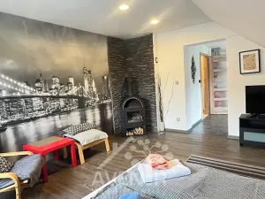 Pronájem bytu 1+1, Plavy, 45 m2