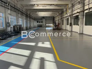 Pronájem výrobních prostor, Brno, Vídeňská, 1400 m2
