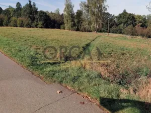 Prodej podílu pole, Český Těšín, 3815 m2