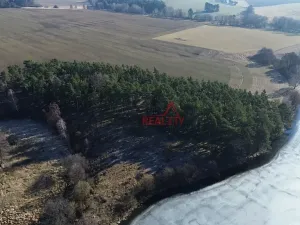 Prodej lesa, Čistá, 1294 m2