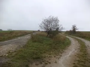 Dražba louky, Peč, 7060 m2