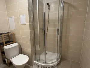 Pronájem bytu 2+1, Karlovy Vary, Koptova, 55 m2