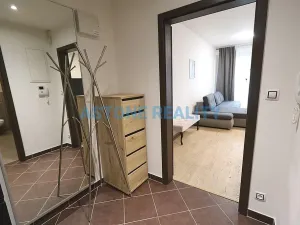 Pronájem bytu 2+kk, Praha - Žižkov, Olšanská, 59 m2