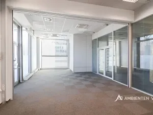 Pronájem kanceláře, Brno, 248 m2