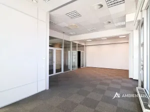 Pronájem kanceláře, Brno, 248 m2