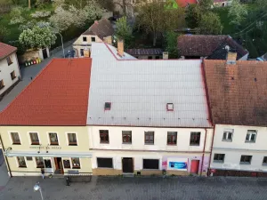 Prodej obchodního prostoru, Mladá Vožice, Husovo náměstí, 264 m2