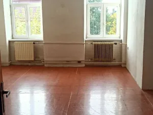 Prodej obchodního prostoru, Mladá Vožice, Husovo náměstí, 264 m2