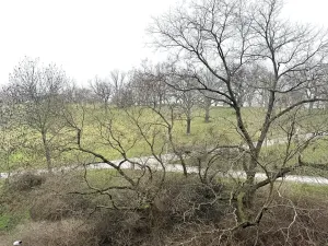 Pronájem bytu 1+kk, Praha - Žižkov, Kališnická, 40 m2